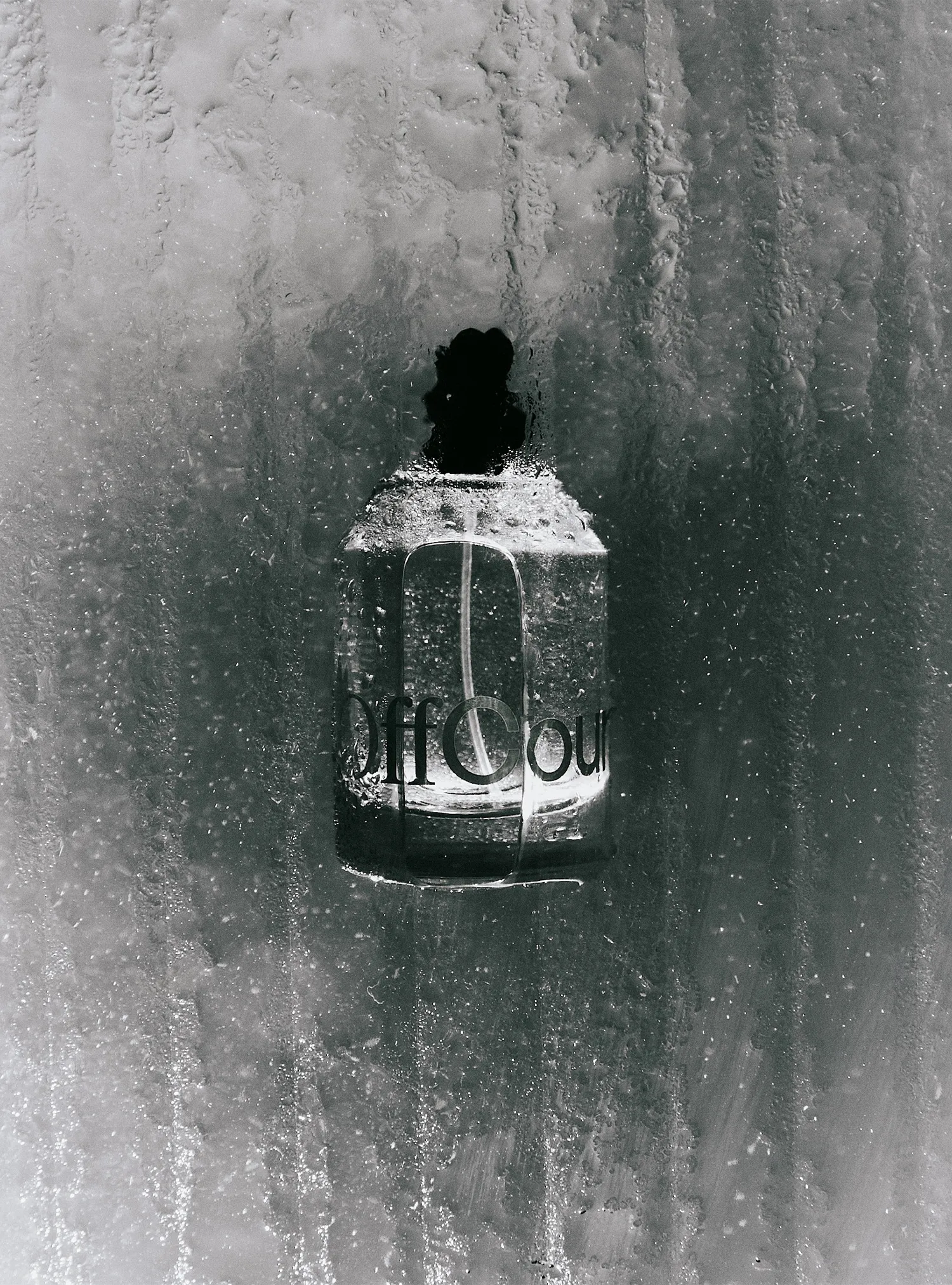 OffCourt Fragrance (Fresh Citron   Driftwood)