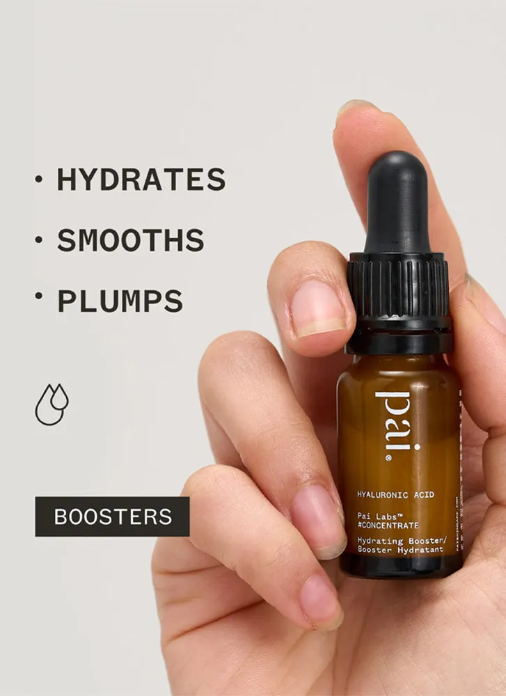 Pai Skincare Hyaluronic Acid Booster
